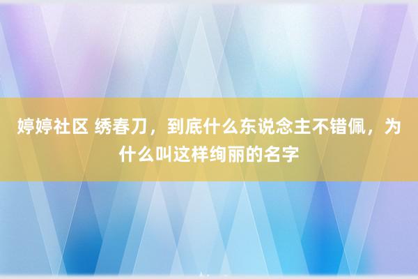 婷婷社区 绣春刀，到底什么东说念主不错佩，为什么叫这样绚丽的名字