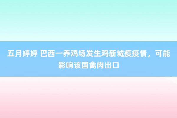 五月婷婷 巴西一养鸡场发生鸡新城疫疫情，可能影响该国禽肉出口