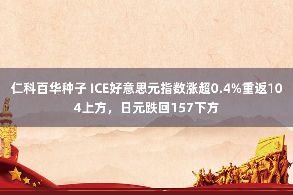 仁科百华种子 ICE好意思元指数涨超0.4%重返104上方，日元跌回157下方