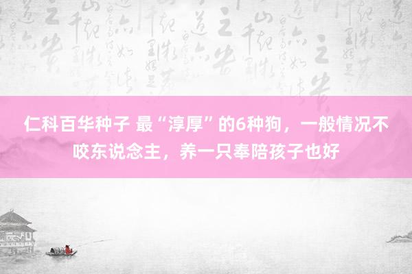 仁科百华种子 最“淳厚”的6种狗，一般情况不咬东说念主，养一只奉陪孩子也好