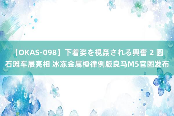 【OKAS-098】下着姿を視姦される興奮 2 圆石滩车展亮相 冰冻金属橙律例版良马M5官图发布