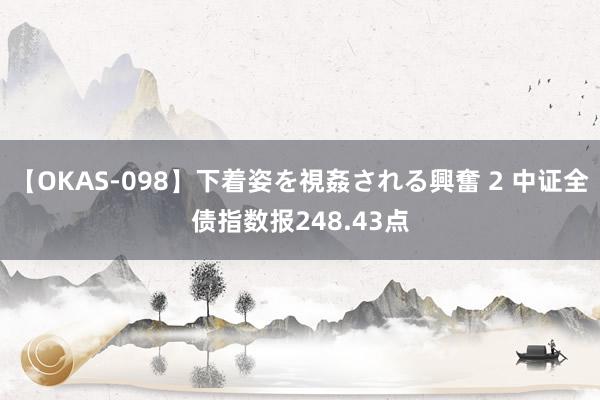 【OKAS-098】下着姿を視姦される興奮 2 中证全债指数报248.43点