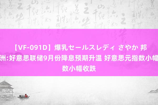 【VF-091D】爆乳セールスレディ さやか 邦达亚洲:好意思联储9月份降息预期升温 好意思元指数小幅收跌