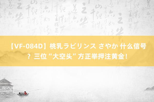 【VF-084D】桃乳ラビリンス さやか 什么信号？三位“大空头”方正举押注黄金！