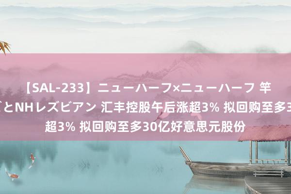 【SAL-233】ニューハーフ×ニューハーフ 竿有り同性愛まるごとNHレズビアン 汇丰控股午后涨超3% 拟回购至多30亿好意思元股份