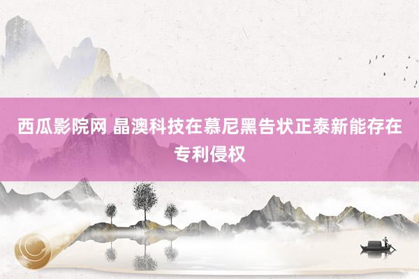 西瓜影院网 晶澳科技在慕尼黑告状正泰新能存在专利侵权