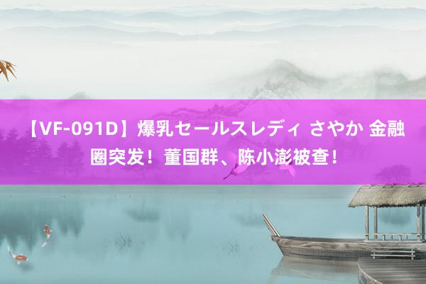 【VF-091D】爆乳セールスレディ さやか 金融圈突发！董国群、陈小澎被查！