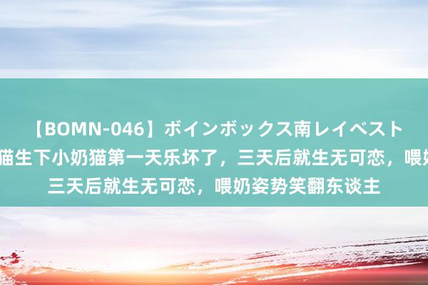 【BOMN-046】ボインボックス南レイベスト 巨乳輪 4時間 橘猫生下小奶猫第一天乐坏了，三天后就生无可恋，喂奶姿势笑翻东谈主