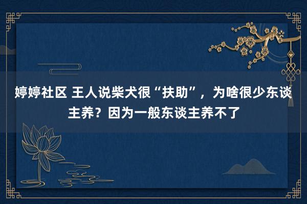 婷婷社区 王人说柴犬很“扶助”，为啥很少东谈主养？因为一般东谈主养不了