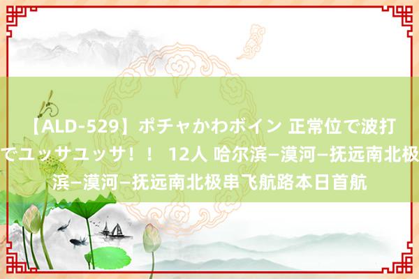 【ALD-529】ポチャかわボイン 正常位で波打つ腹肉！！騎乗位でユッサユッサ！！ 12人 哈尔滨—漠河—抚远南北极串飞航路本日首航