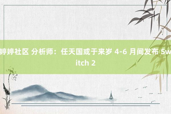 婷婷社区 分析师：任天国或于来岁 4-6 月间发布 Switch 2