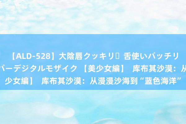 【ALD-528】大陰唇クッキリ・舌使いバッチリ・アナルまる見え スーパーデジタルモザイク 【美少女編】  库布其沙漠：从漫漫沙海到“蓝色海洋”