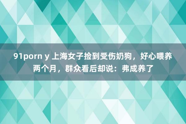 91porn y 上海女子捡到受伤奶狗，好心喂养两个月，群众看后却说：弗成养了