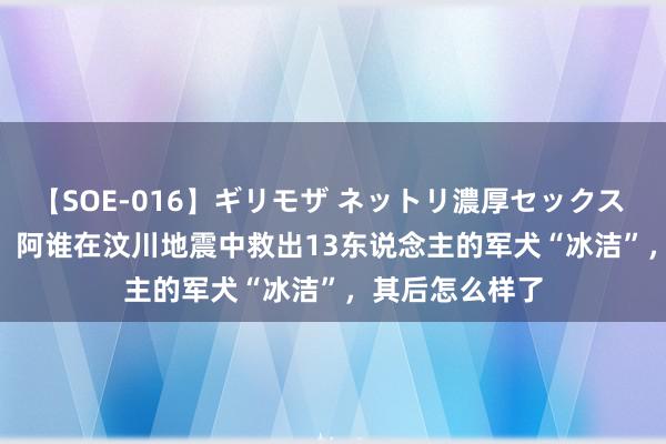 【SOE-016】ギリモザ ネットリ濃厚セックス Ami 2008年，阿谁在汶川地震中救出13东说念主的军犬“冰洁”，其后怎么样了