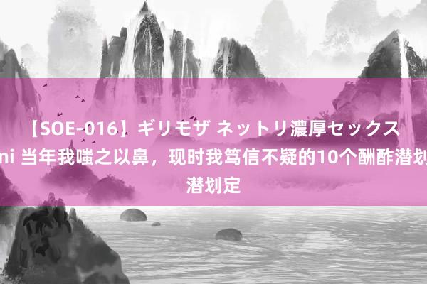 【SOE-016】ギリモザ ネットリ濃厚セックス Ami 当年我嗤之以鼻，现时我笃信不疑的10个酬酢潜划定